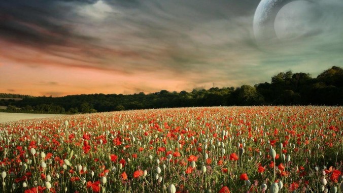 印度是真的烂还是咱们在信息茧房里面？